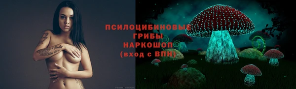 Альфа ПВП Артём
