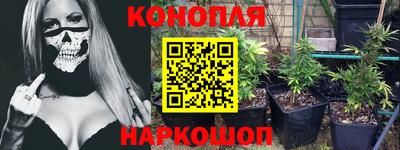 крисы Берёзовский