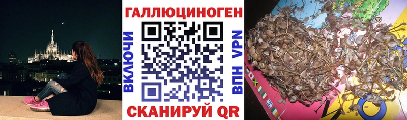 купить   Набережные Челны  Псилоцибиновые грибы ЛСД 