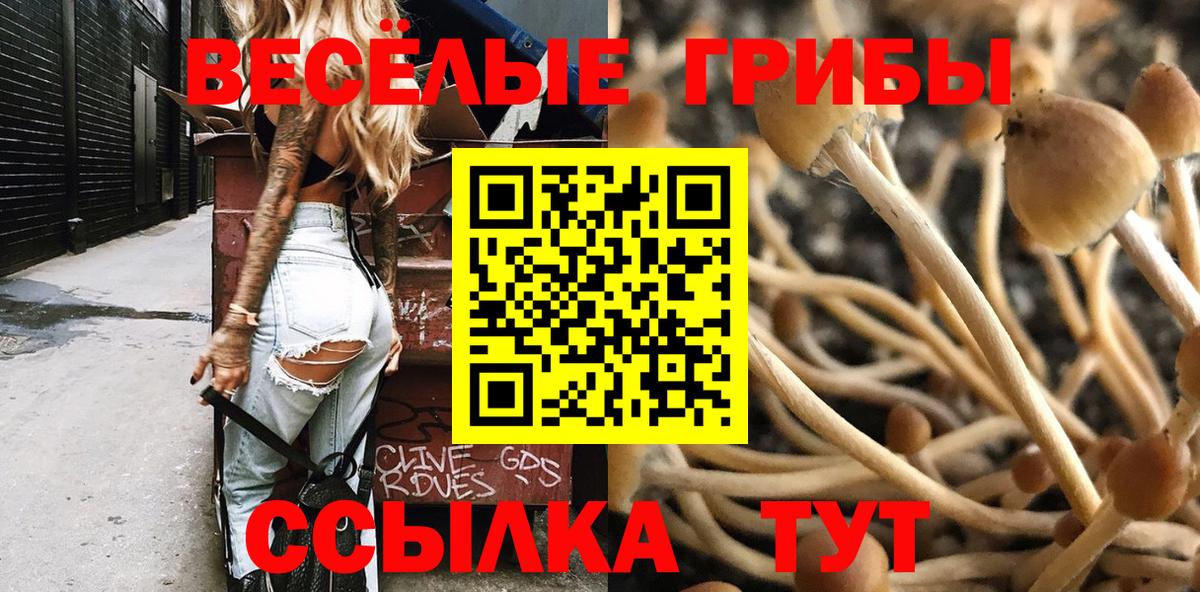 Псилоцибиновые грибы Magic Shrooms Набережные Челны